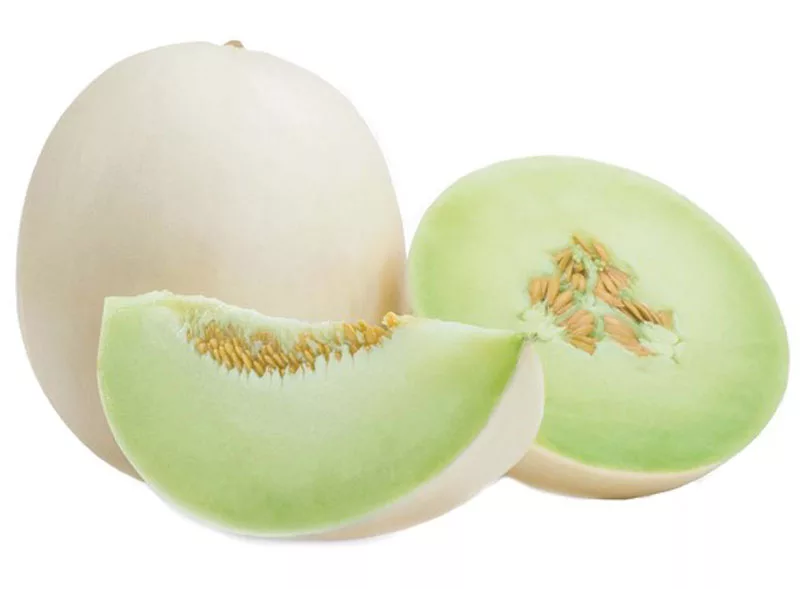 Unripe honeydew fruit