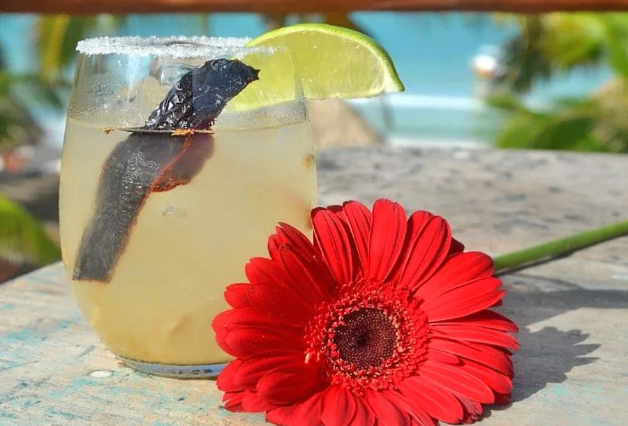 Mezcal Cocktails