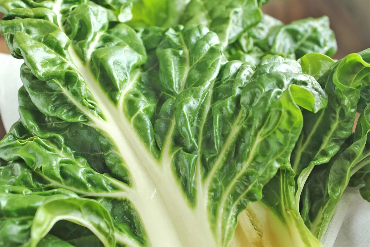 Swiss Chard Substitutions